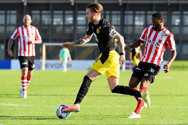 教练达利奇 教练达利奇